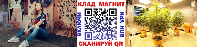 Купить закладку ГАШИШ  Конопля  Кокаин  APVP  МЕФ  Новый Оскол