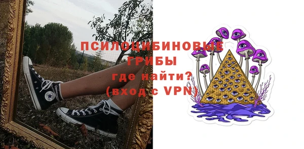 круглые Гусев