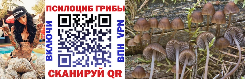 Галлюциногенные грибы прущие грибы Новый Оскол