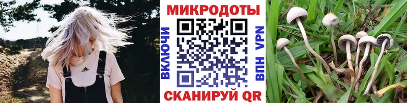 Купить где  Новый Оскол  Галлюциногенные грибы Psilocybine cubensis 