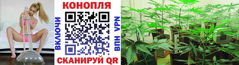 Купить  Новый Оскол  Канабис план 